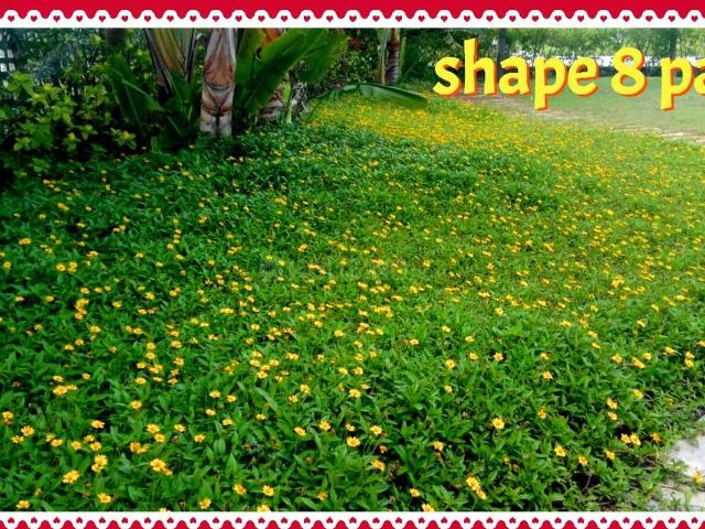 Residential Plot in Gauribidanur for resale Chikballapur District. The reference number is 19278548