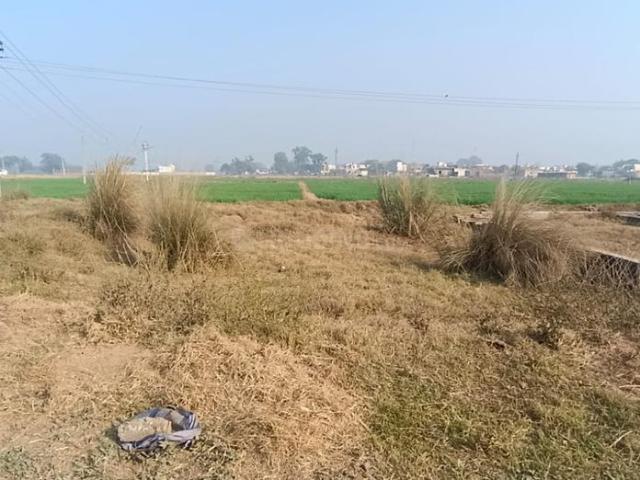 Residential Plot in Ghataur for resale Mohali. The reference number is 20205962