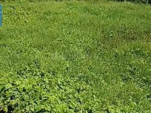 Residential Plot in Ghatikia for resale Bhubaneswar. The reference number is 19914471