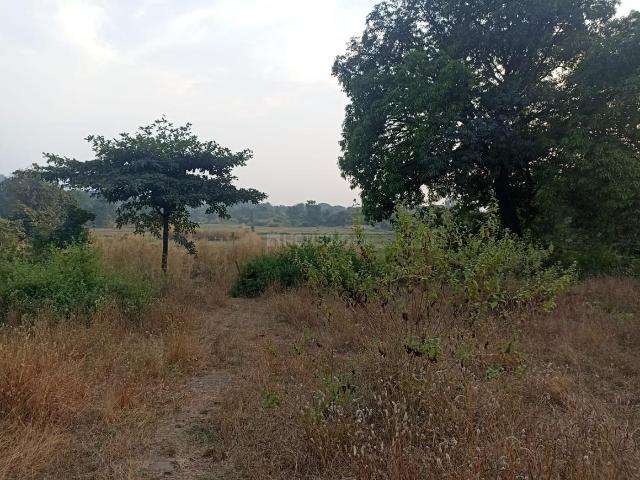 Residential Plot in Ghera Sudhagad for resale Raigad. The reference number is 19726383