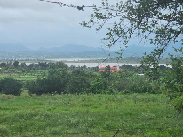 Residential Plot in Girnare for resale Nashik. The reference number is 18157160