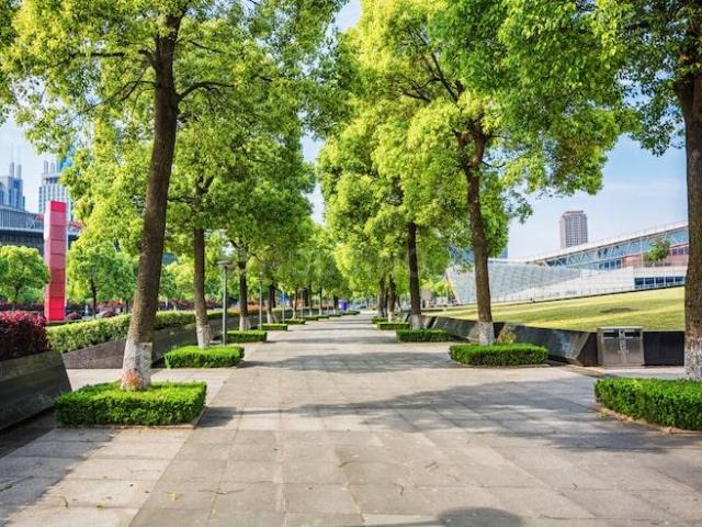 Residential Plot in GMS Road for resale Dehradun. The reference number is 19045816