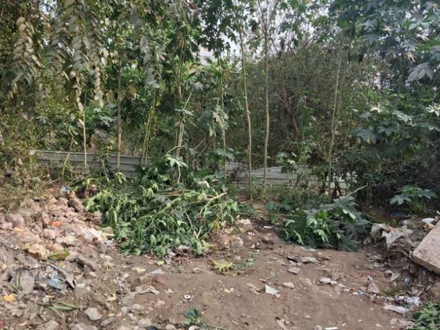 Residential Plot in Gomti Nagar Extension for resale Lucknow. The reference number is 19358908