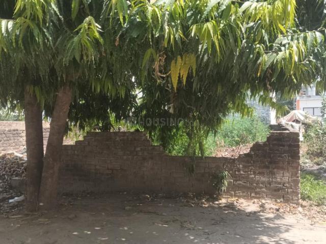 Residential Plot in Gomti Nagar for resale Lucknow. The reference number is 20010507