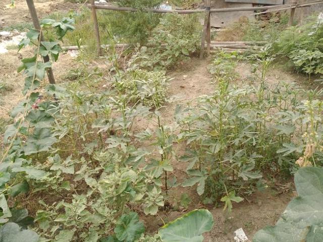 Residential Plot in Govindpuram for resale Ghaziabad. The reference number is 12196734