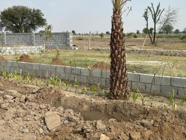 Residential Plot in Grand Sikar Road for resale Jaipur. The reference number is 20491117