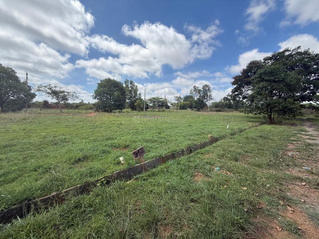 Residential Plot in Halehalli Anekal Taluka for resale Bengaluru. The reference number is 20727306