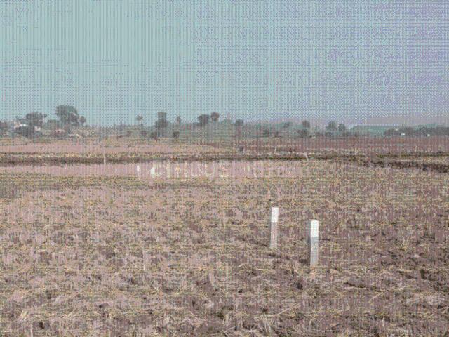 Residential Plot in Hamarapur for resale Raigad. The reference number is 20661441