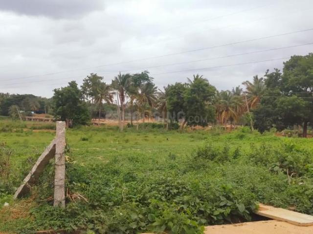 Residential Plot in Harohalli, Anekal for resale Bengaluru. The reference number is 15024210