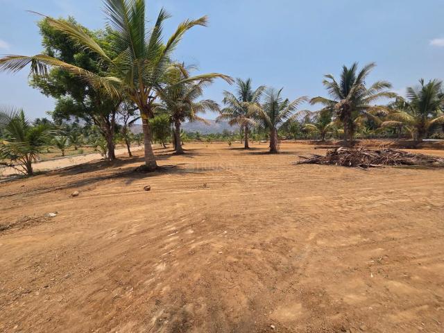 Residential Plot in Harohalli, Ramnagara for resale Bengaluru. The reference number is 20669917