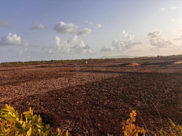 Residential Plot in Harishchandra Pimpale for resale Navi Mumbai. The reference number is 20567941