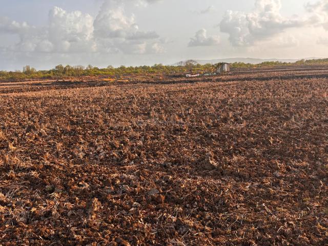Residential Plot in Harishchandra Pimpale for resale Navi Mumbai. The reference number is 20568008