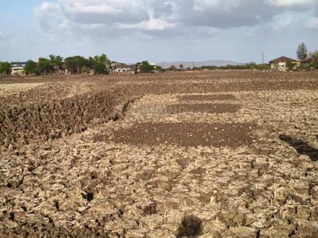 Residential Plot in Harishchandra Pimpale for resale Navi Mumbai. The reference number is 20716068