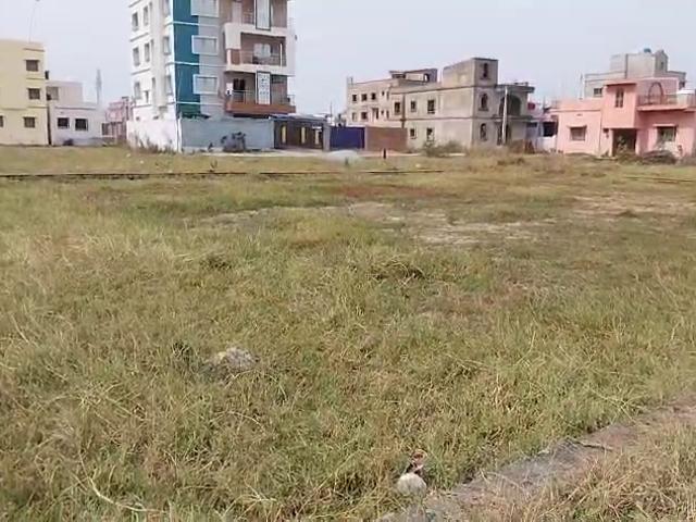 Residential Plot in Hatma for resale Ranchi. The reference number is 14609089