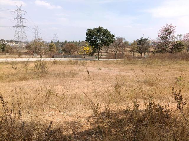 Residential Plot in Hejjala for resale Bengaluru. The reference number is 18781430