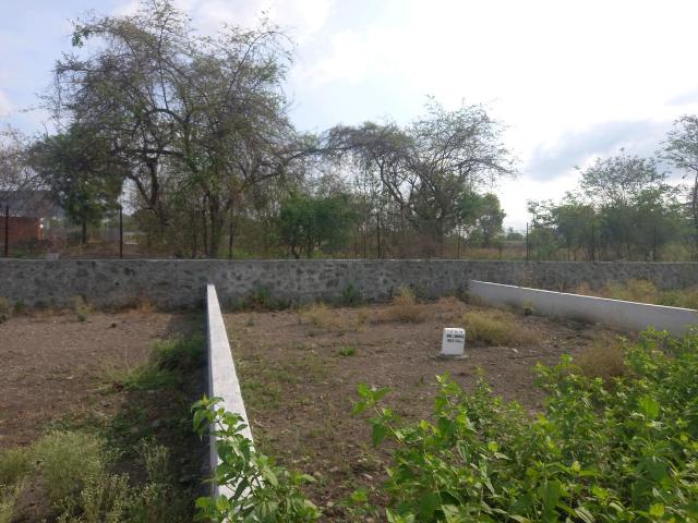 Residential Plot in Hinjawadi for resale Pune. The reference number is 20300382