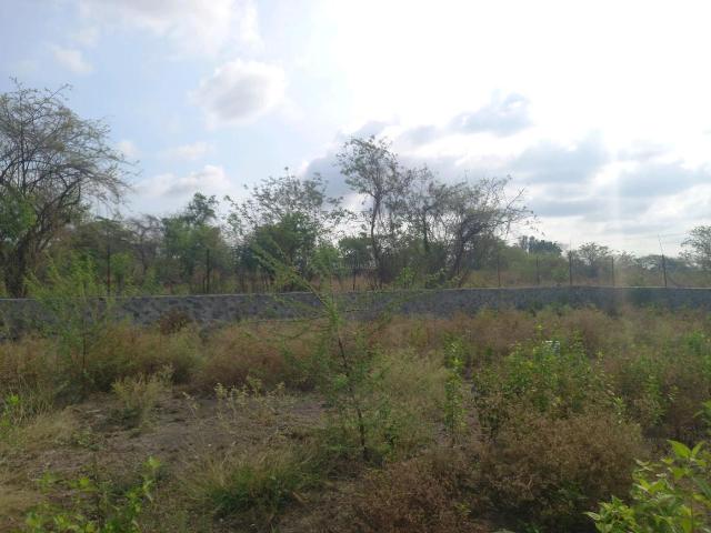 Residential Plot in Hinjawadi for resale Pune. The reference number is 20300397