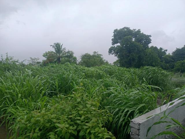 Residential Plot in Hinjawadi Phase 3 for resale Pune. The reference number is 20641892