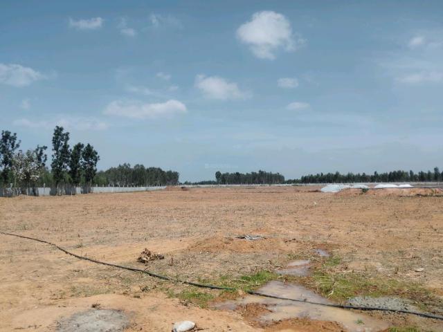 Residential Plot in Hoskote for resale Bengaluru. The reference number is 16398607
