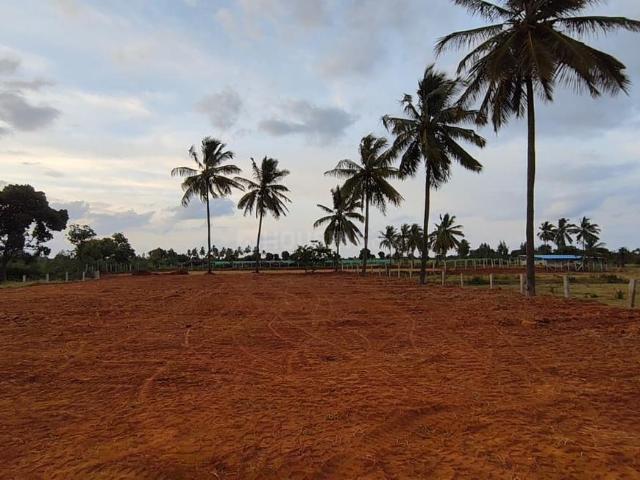 Residential Plot in Hoskote for resale Bengaluru. The reference number is 20558419