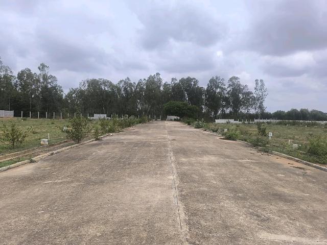 Residential Plot in Hoskote for resale Bengaluru. The reference number is 20663616