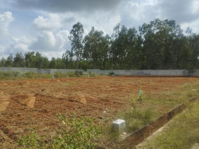 Residential Plot in Hoskote for resale Bengaluru. The reference number is 20124940