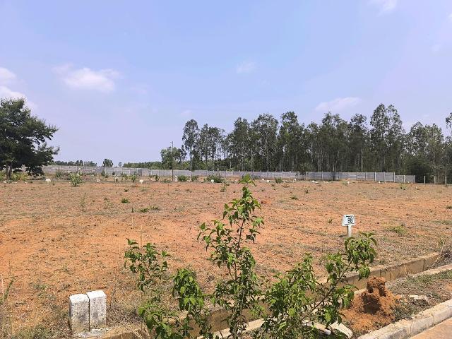 Residential Plot in Hoskote for resale Bengaluru. The reference number is 20124949