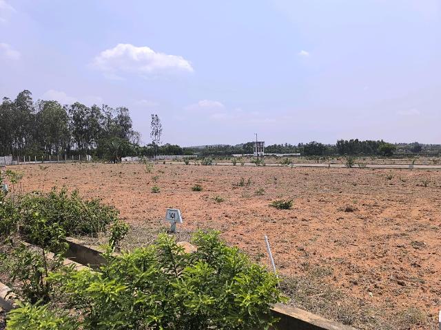 Residential Plot in Hoskote for resale Bengaluru. The reference number is 20124953