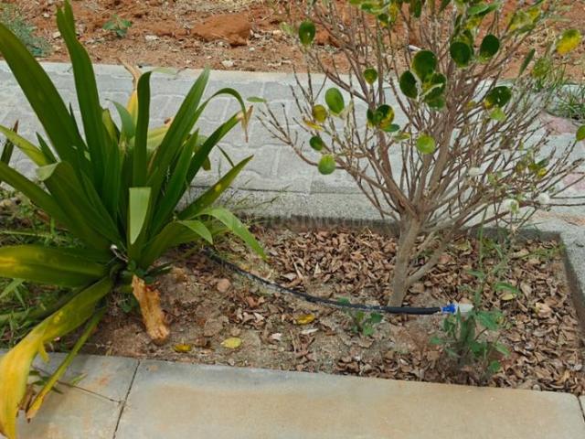 Residential Plot in Hoskote for resale Bengaluru. The reference number is 20275329