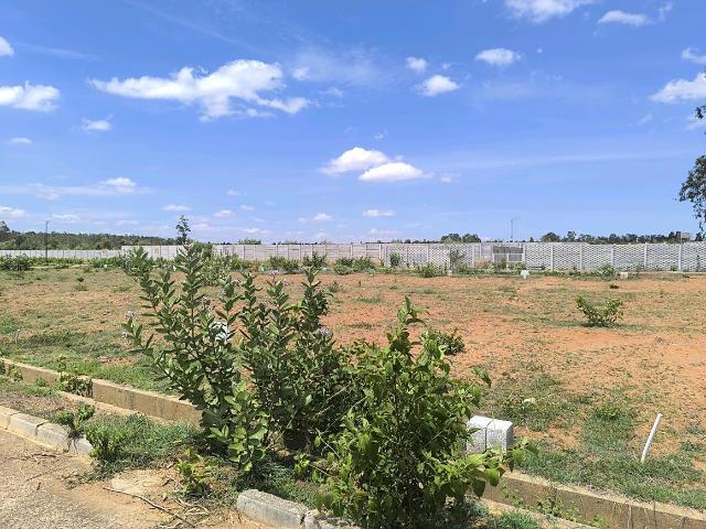 Residential Plot in Hoskote for resale Bengaluru. The reference number is 20386671