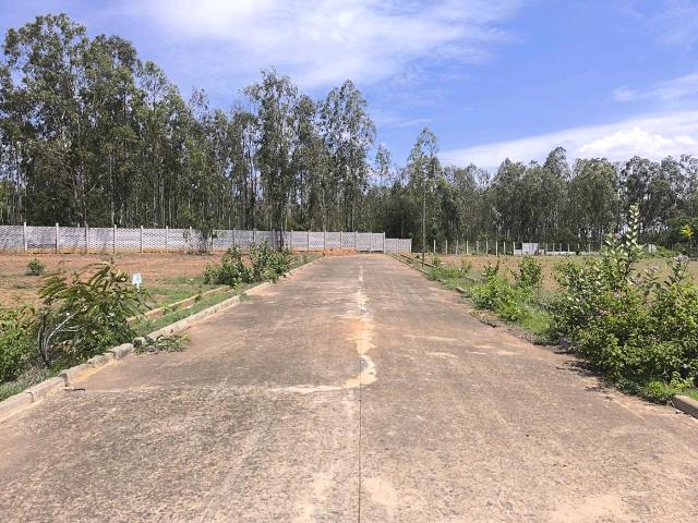 Residential Plot in Hoskote for resale Bengaluru. The reference number is 20386676