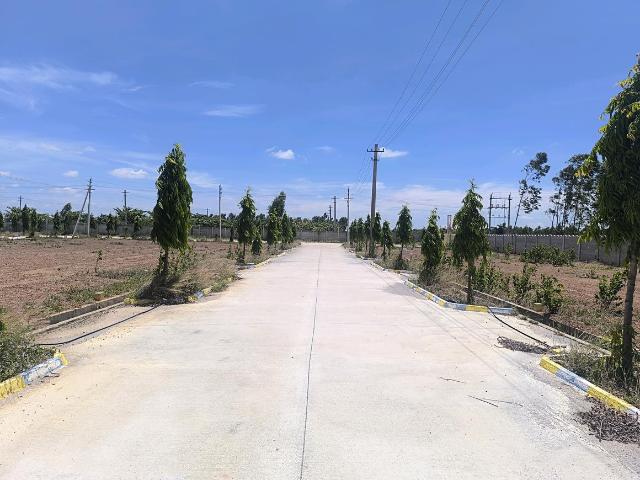Residential Plot in Hoskote for resale Bengaluru. The reference number is 20386786