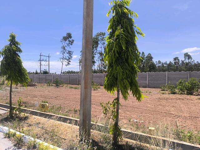 Residential Plot in Hoskote for resale Bengaluru. The reference number is 20386799