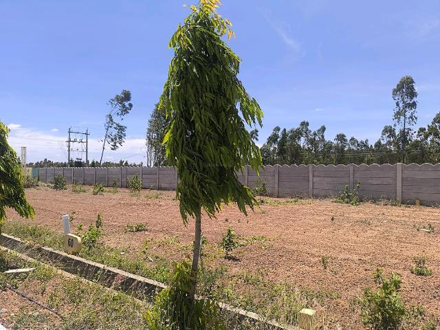 Residential Plot in Hoskote for resale Bengaluru. The reference number is 20386803