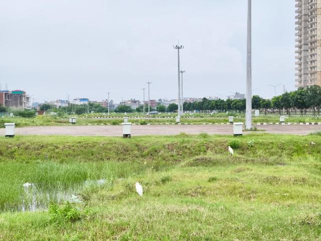 Residential Plot in IT City for resale Mohali. The reference number is 19896172
