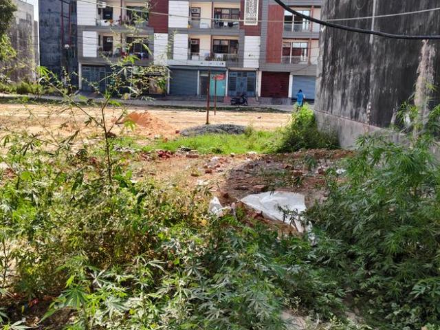 Residential Plot in Indraprashtha Yojna for resale Ghaziabad. The reference number is 19740054