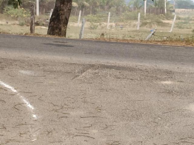 Residential Plot in Indresham for resale Sangareddy. The reference number is 18985154