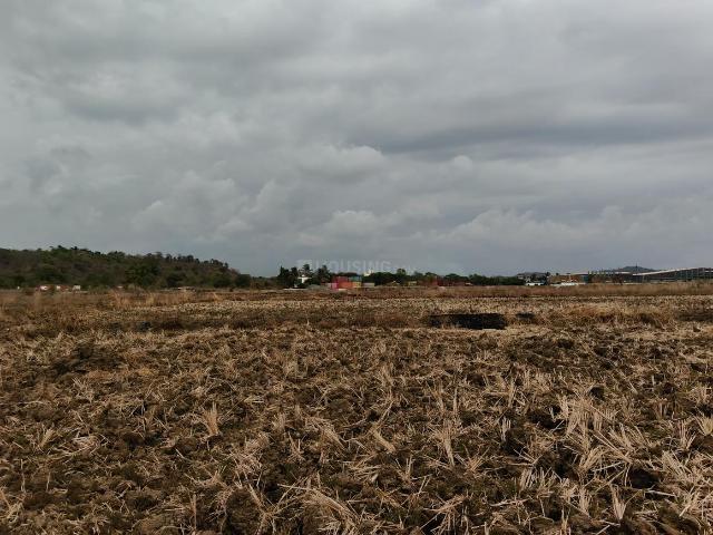 Residential Plot in Juipunade for resale Raigad. The reference number is 20664223
