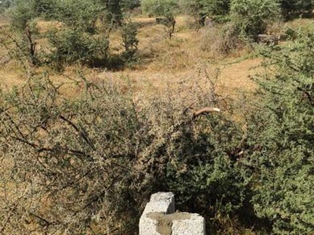 Residential Plot in Jagatpura for resale Jaipur. The reference number is 16454397