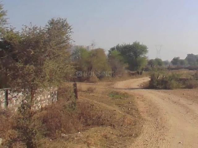 Residential Plot in Jagatpura for resale Jaipur. The reference number is 17526324