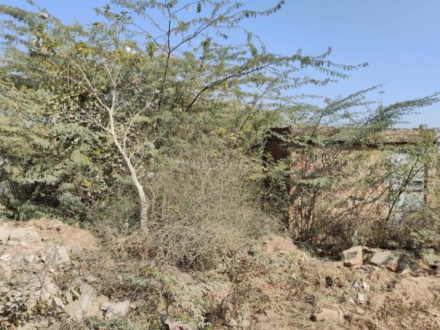 Residential Plot in Jagatpura for resale Jaipur. The reference number is 18951599
