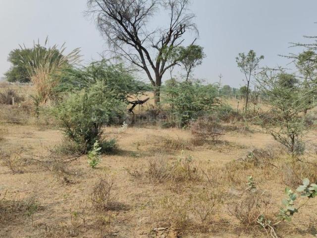 Residential Plot in Jagatpura for resale Jaipur. The reference number is 20917119