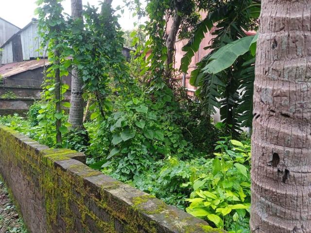 Residential Plot in Jagadishpur for resale Howrah. The reference number is 20750448