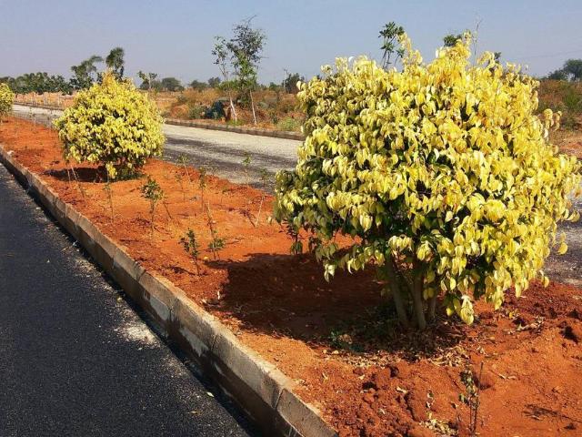 Residential Plot in Jadcherla for resale Hyderabad. The reference number is 17778158