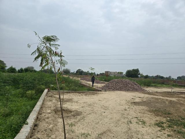 Residential Plot in Jait for resale Vrindavan. The reference number is 20956974
