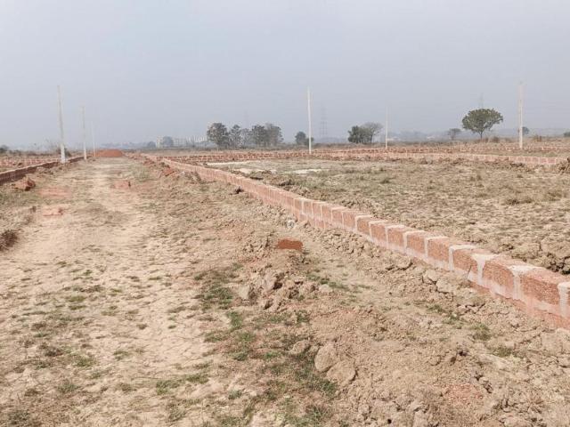 Residential Plot in Janla for resale Bhubaneswar. The reference number is 20024532
