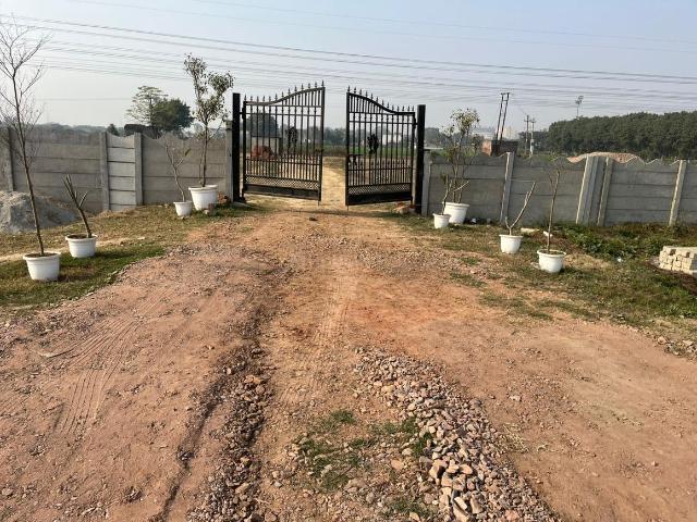 Residential Plot in Jewar for resale Greater Noida. The reference number is 19460473