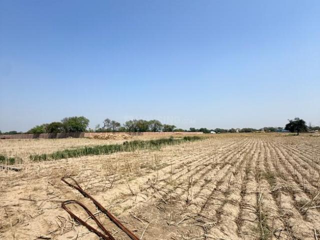 Residential Plot in Jewar for resale Greater Noida. The reference number is 19998558