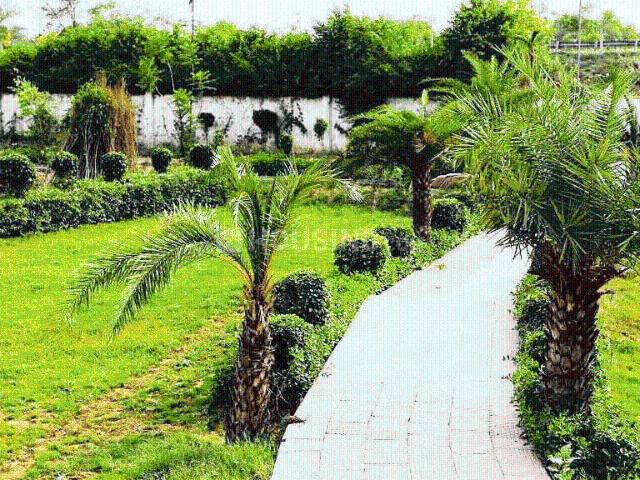 Residential Plot in Jewar for resale Greater Noida. The reference number is 20813953