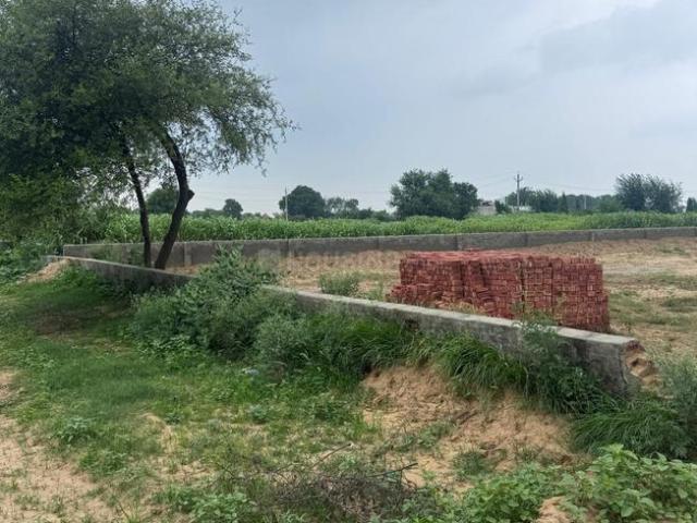 Residential Plot in Jewar for resale Greater Noida. The reference number is 20948055